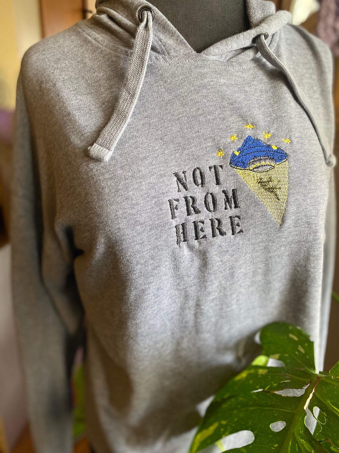 Not From Here Synch Hoodie (small)